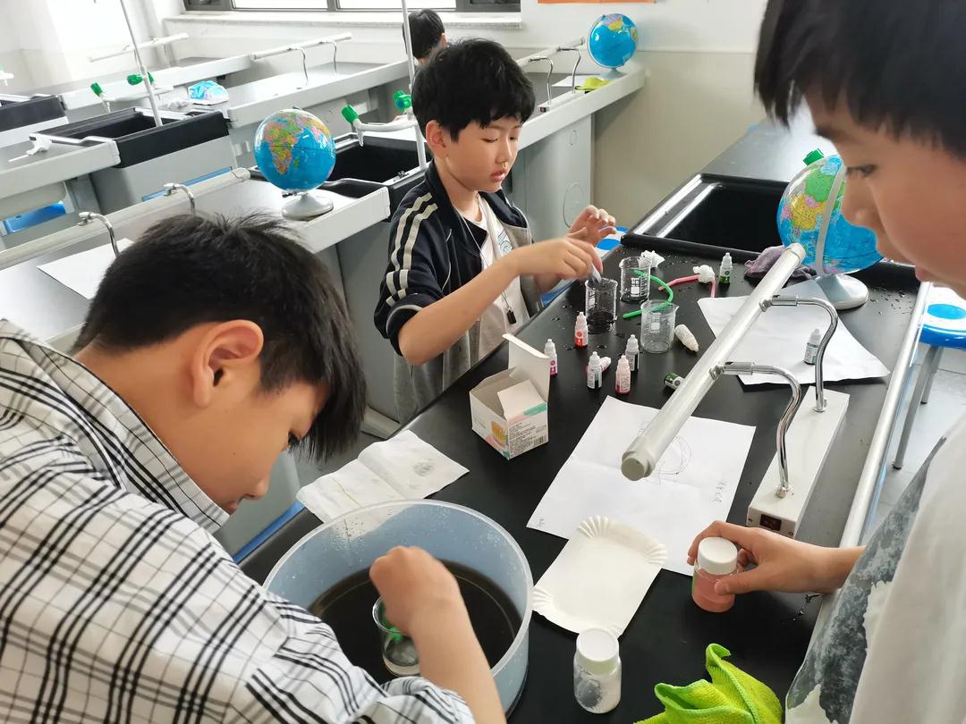 巴德美际国际学校