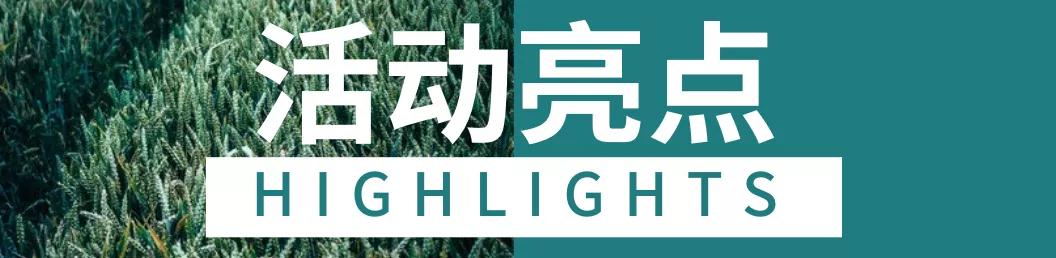 北京致知学校