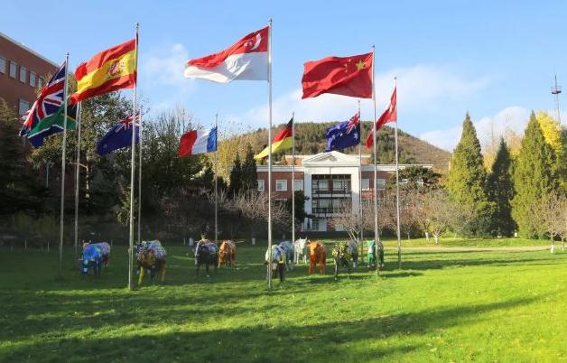 北京汇佳学校